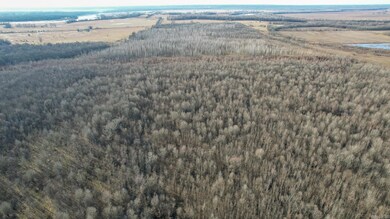 TBD Little River 32, Ashdown, AR 71822 - photo 7