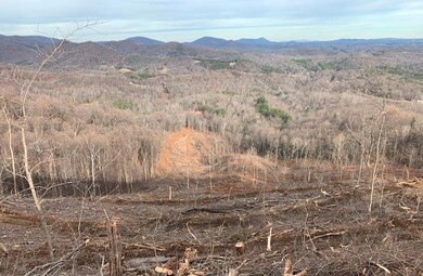 View From Mid-Slope