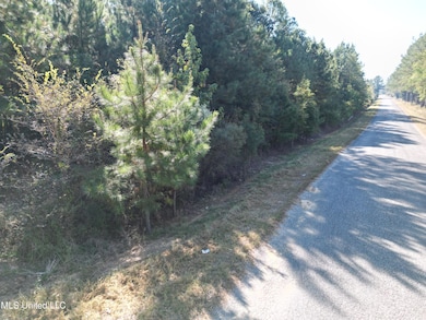 1844 Swamp Rd, Carthage, MS 39051 - photo 7