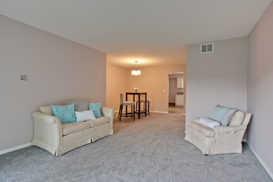 Kensington Commons unit D, Mount Prospect, IL 60056 - photo 6