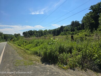 unlisted-address, Kingsley, PA 18826 - photo 3