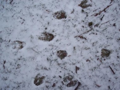 256 N Evergreen Ln, La Porte, IN 46350 - photo 7