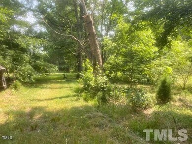 192 Country Routt Brown Rd, Pittsboro, NC 27312 - photo 5