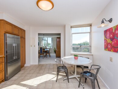 Imperial Towers unit 614, Chestnut Hill, MA 02467 - photo 7