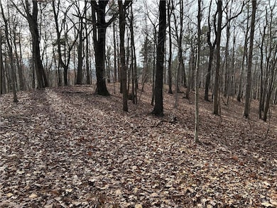 0 Georgia 105, Baldwin, GA 30511 - photo 5