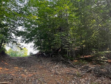 302 Pond Rd, Wilton, ME 04294 - photo 7