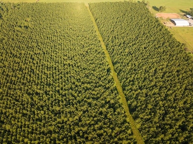 0 Edgerly Rd unit 24516946, Dequincy, LA 70633 - photo 2