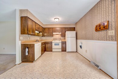 Rapid Imagery-4761