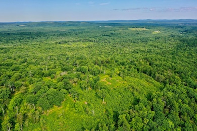 Lot 26 Mariners Watch Rd, Northport, ME 04849 - photo 7