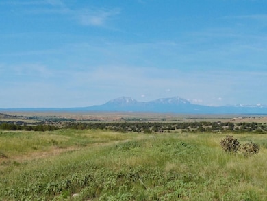 0 Carlson Rd unit 20656187, Rye, CO 81069 - photo 7