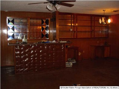 Den and Bar area