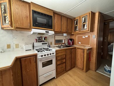 4421 Lane Rd, Zephyrhills, FL 33541 - photo 5