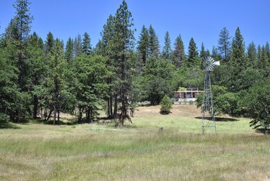 477 Kellogg Gulch Rd, Hayfork, CA 96041 - photo 5
