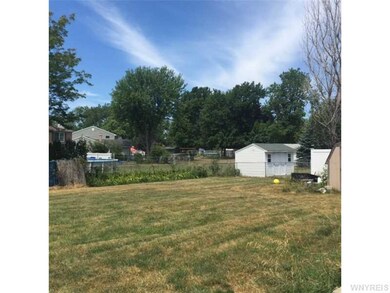 Backyard.