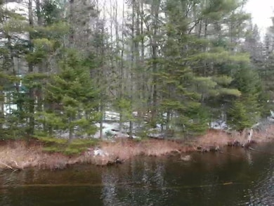 View from water looking at lot