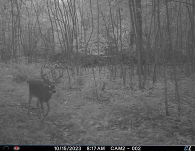 0 37th St, Gobles, MI 49055 - photo 7