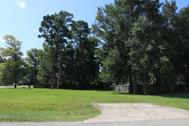 6703 Hayden Dr, Magnolia, TX 77354 - photo 5