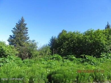 IMG_5267 (480x360)