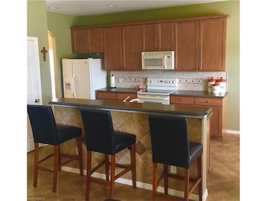 8225 Silver Birch Way, Lehigh Acres, FL 33971 - photo 4