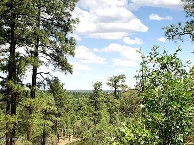 1 Woolford Rd, Show Low, AZ 85901 - photo 2
