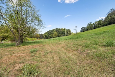6 Young Rd, Pulaski, TN 38478 - photo 6