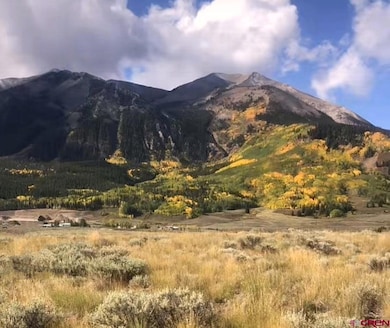 376 Wapiti Ln, Crested Butte, CO 81224 - photo 3