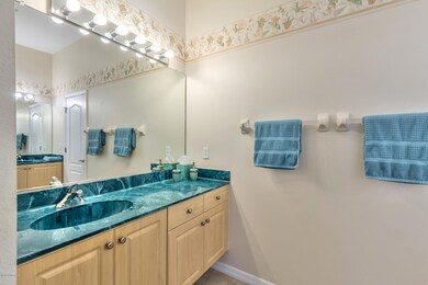 Owner's Bath