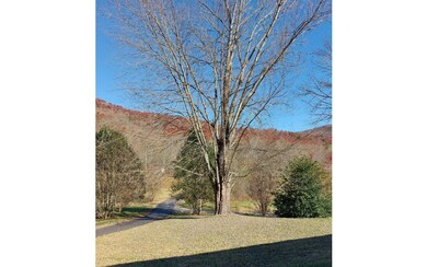 Additional View