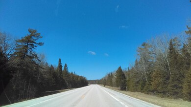IMAG0292