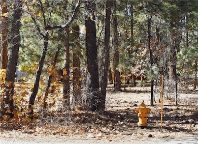 294 Pine Ln, Big Bear, CA 92314 - photo 7