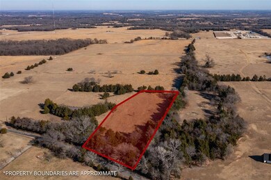 3.126 Dugan Chapel Rd, Bells, TX 75414 - photo 5