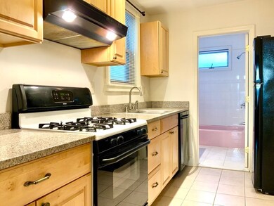 54 Webster Ave unit 1L, Cambridge, MA 02141 - photo 6