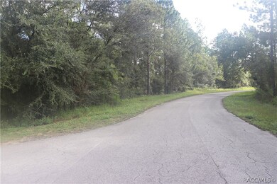 00 SW 211 Cir, Other, FL 34431 - photo 3