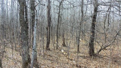 Lot 3 Minerva Dam Rd, Swiss, WI 54830 - photo 4