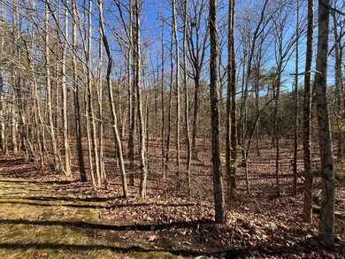 0 Stewart Ln unit 1504508, Rising Fawn, GA 30738 - photo 7