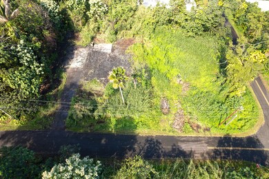 15-362 Mamo St, Pahoa, HI 96778 - photo 4