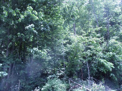 0 Vermont 12a, Braintree, VT 05060 - photo 3