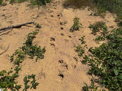 TBD Meredith Grade Rd, Harrison, MI 48625 - photo 6