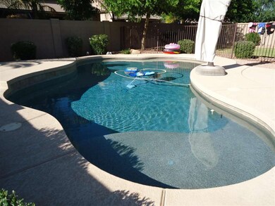 3938 E Morrison Ranch Pkwy  Pool