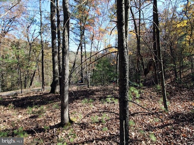 0 Breckinridge Rd, Basye, VA 22810 - photo 3