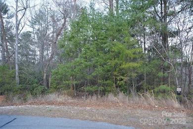 118 Crestline Dr unit 90, Marion, NC 28752 - photo 3