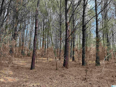 0 Wallace St unit 1, Sylacauga, AL 35151 - photo 5