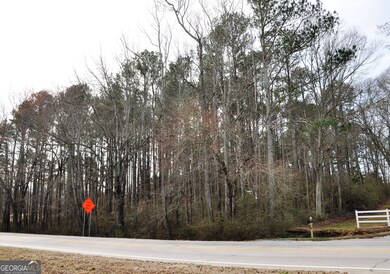 0 Monroe Hwy unit 10466108, Bethlehem, GA 30620 - photo 3