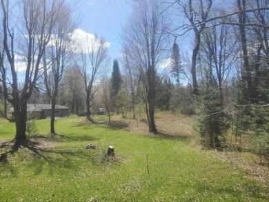 N8852 New Wood Rd, Tomahawk, WI 54487 - photo 3