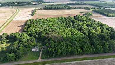 7245 Hood Rd, Marks, MS 38646 - photo 3