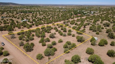 4409 E Pinto Rd, Snowflake, AZ 85937 - photo 4