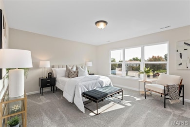 0 Unknown unit MIS25041090, Saint Peters, MO 63376 - photo 7