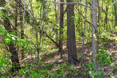 Lots #10 & 11 Holly Hill Ct, Asheville, NC 28806 - photo 6