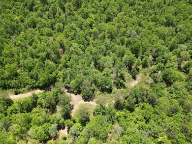 TR 18&19 Long Creek Pass, Albion, OK 74571 - photo 7