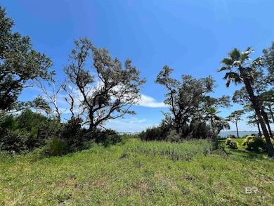 South View toward water